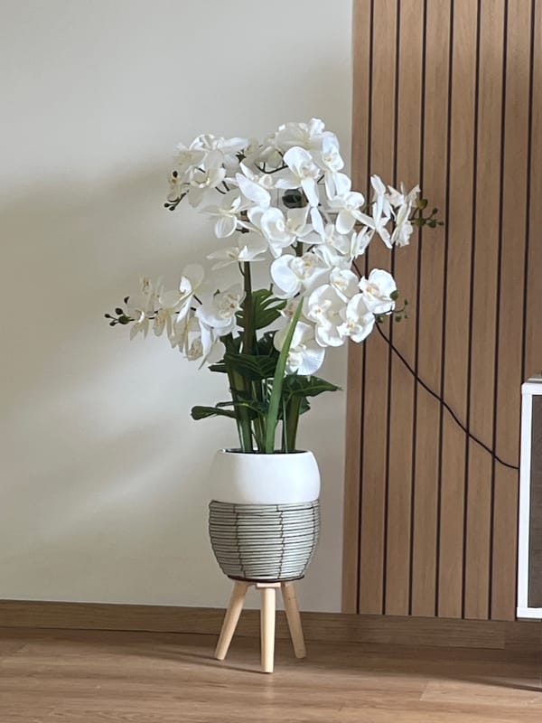 Cozy German living room with TV, orchids, and a bassinet