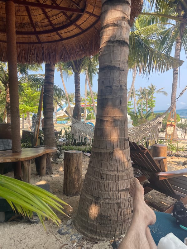 Visitor documented at Vietnam heritage beach among palm trees