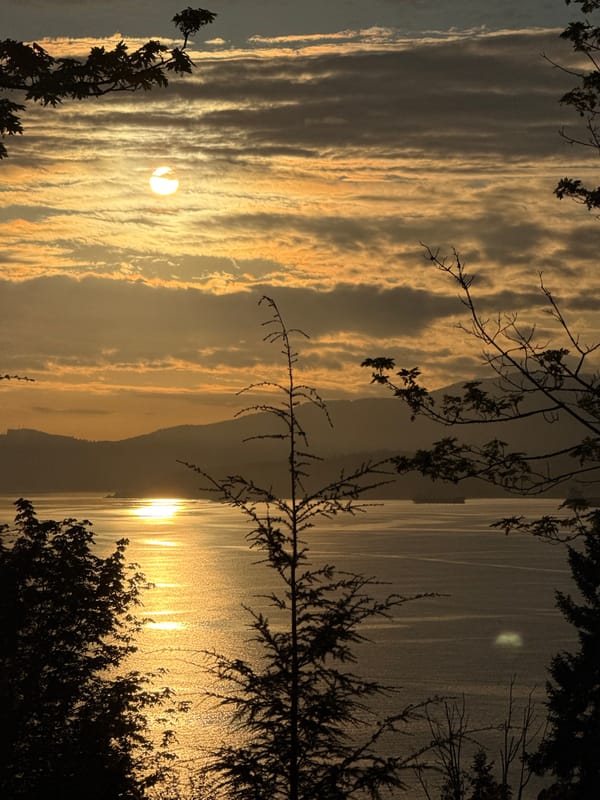 Vancouver resident captures dawn waterscape and forest trail scenes