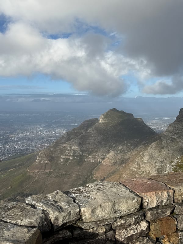Witness captures Cape Town mountain and coastal views