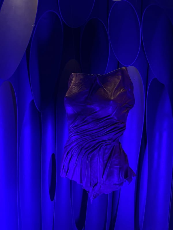 Art installation features suspended leather garments and photographs
