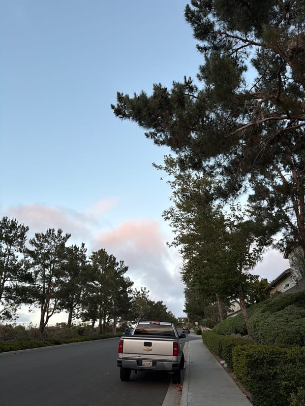 Sunset stroll through Aliso Viejo, pinecones and neighborhood streets