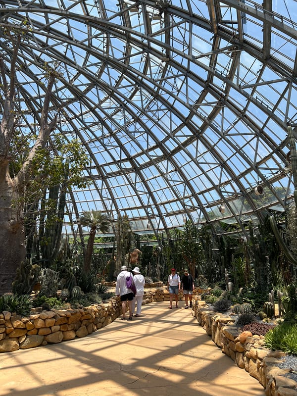 Zoo visitors observe rhino, feed giraffes in Nha Trang