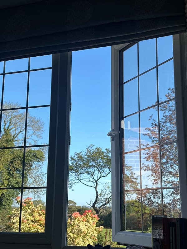 Morning garden view captured through window in Wealden