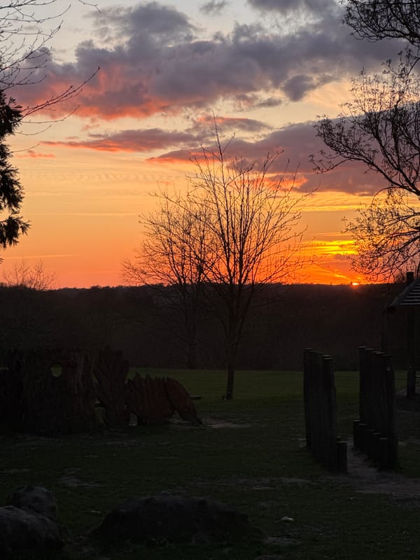 Vibrant sunset observed across London parks Sunday evening