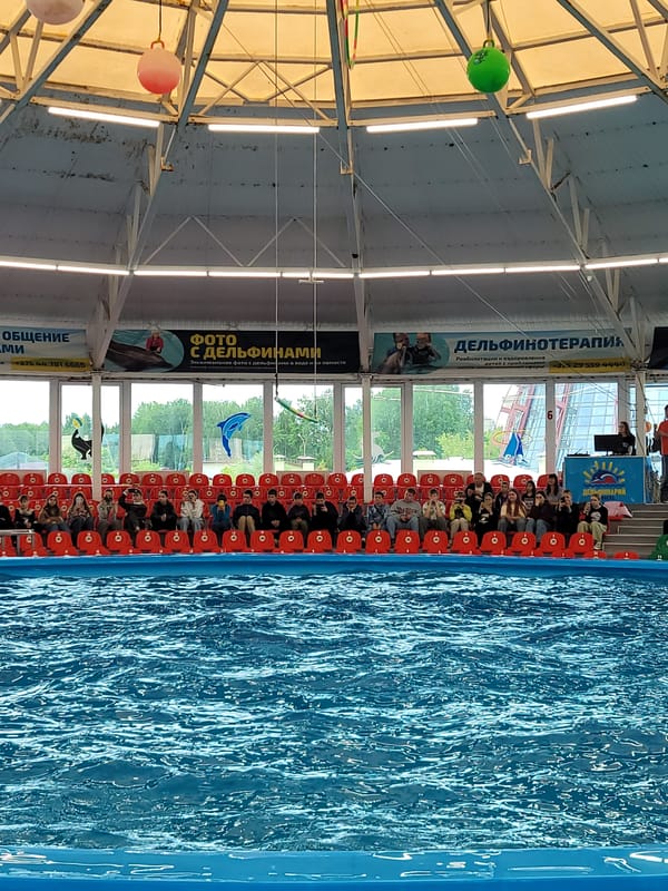 Sea lion performance draws audience at Minsk dolphinarium
