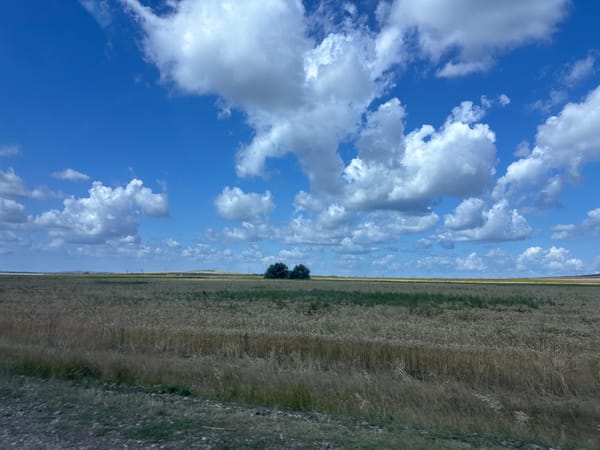 Sunflower fields and open steppe along a rural Russian road