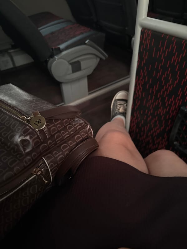 Passenger with brown bag spotted on public transport in Ermolino