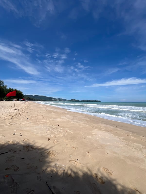 Mother and child enjoy beach photography session near pandanus trees