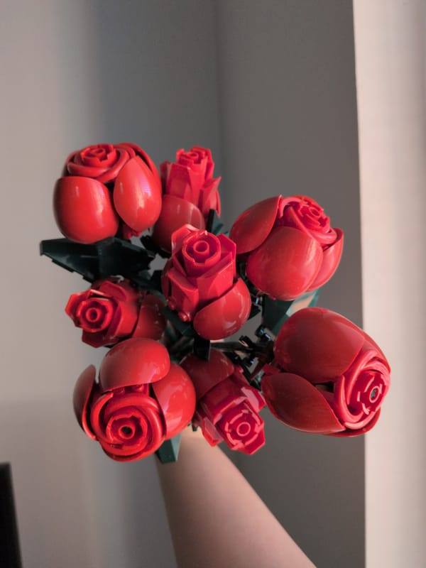 Person displays handmade LEGO rose bouquet in unknown location