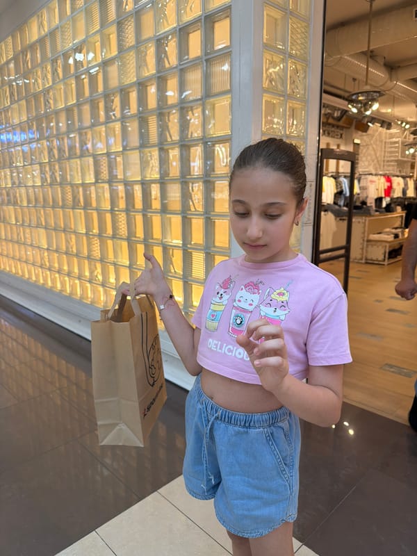 Inside a Yerevan shopping mall: food court, carousel, retail