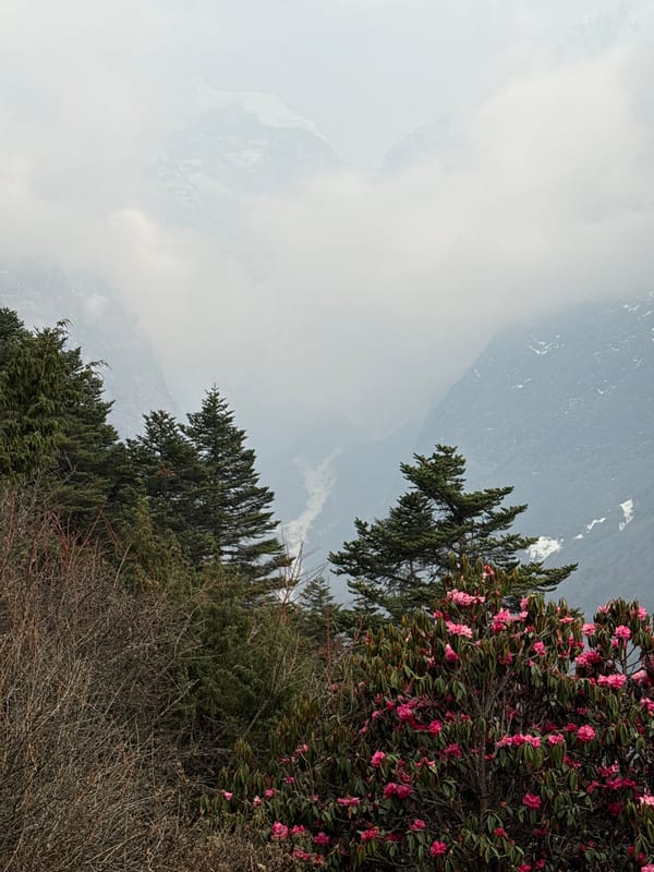 Tourist documents misty Himalayan peaks and wildlife near Tengboche