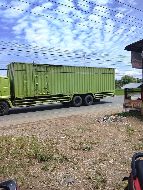 Rural road life in Manyang Cut, Indonesia — rice paddies and passing traffic