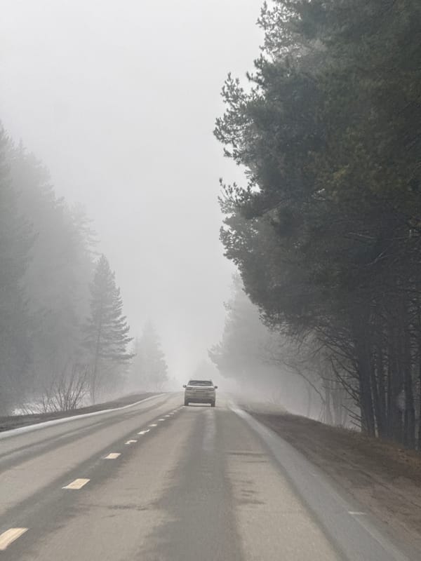 Car travels foggy tree-lined road in Забегалово, Russia