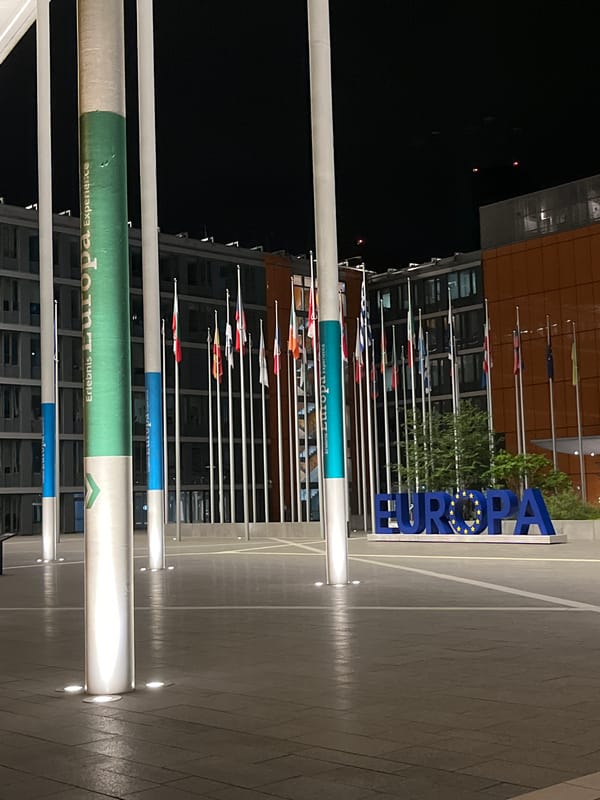 Person sits on poles at Luxembourg's Europa Experience