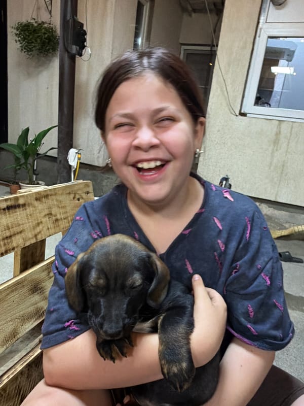 Puppy cuddles on a wooden bench in Tuapse