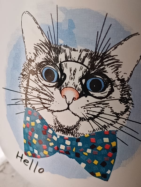 Witness captures cats and cash in morning memory fragments