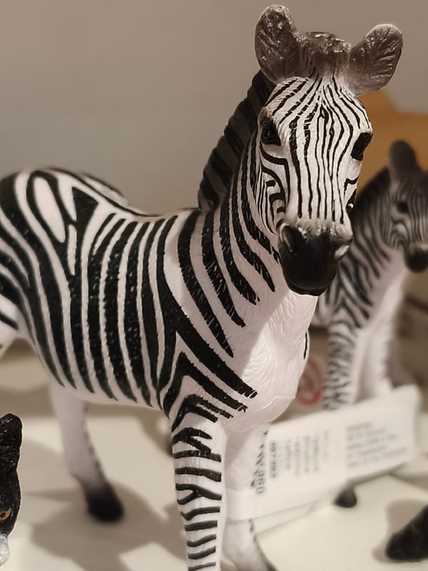 Morning shopping documented at Dnipro mall with toys, collectibles