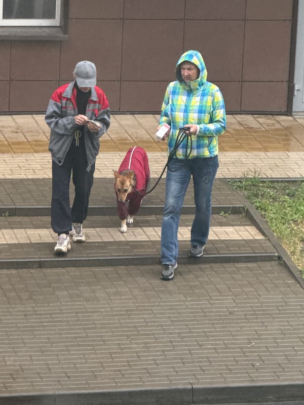 Morning street life continues despite wet weather in Rostov-on-Don