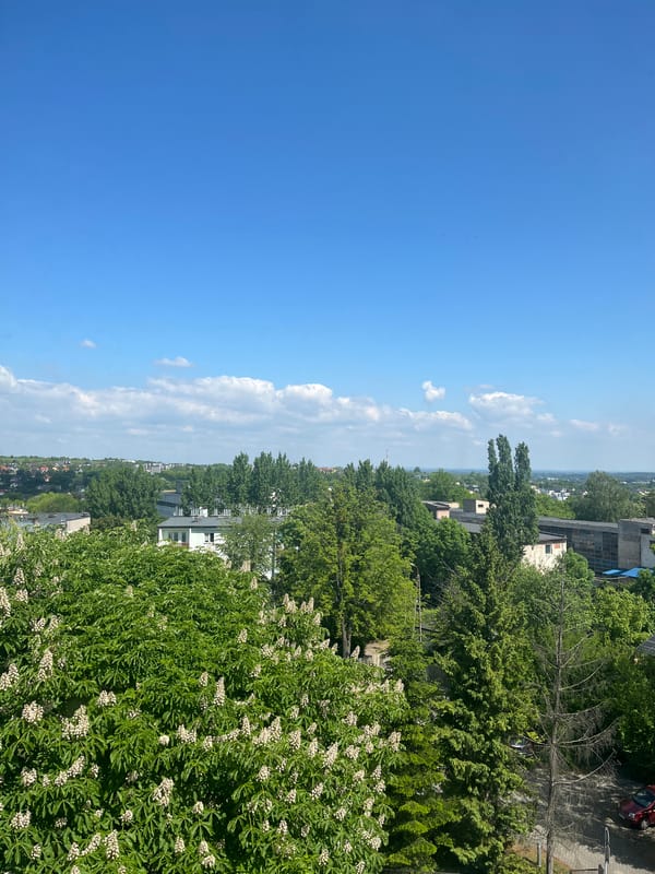 Elevated urban landscape views captured during sunny morning