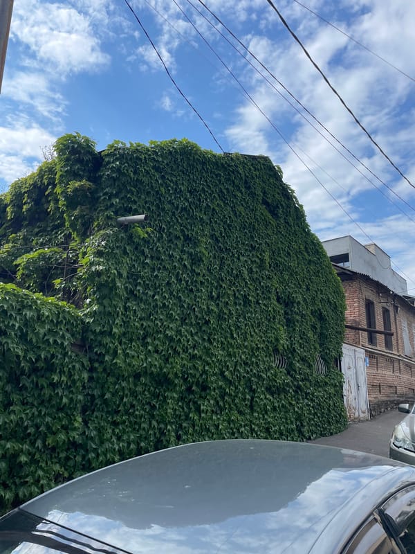 Witness documents everyday street life across Tbilisi neighborhoods