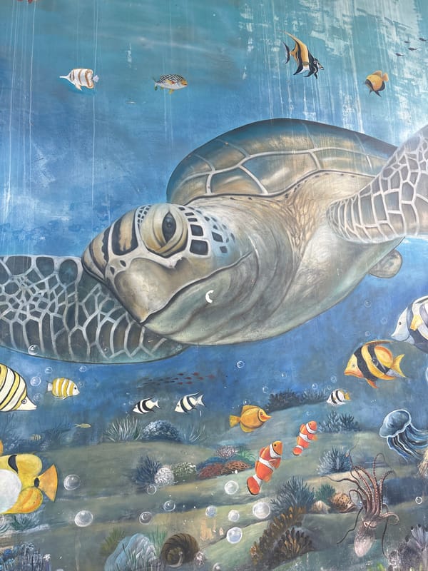 Street-level Nha Trang: murals, sculptures, cafés, and campus