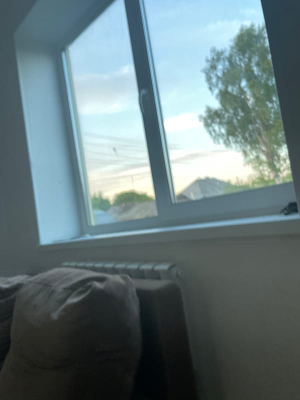Quiet afternoon documented in rural Russian apartment