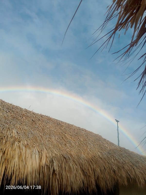 Rainbow observed over tropical resort during evening hours