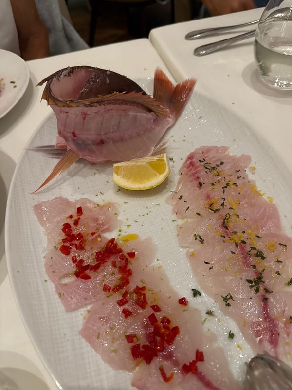 Athens dining scene captured across restaurants and markets