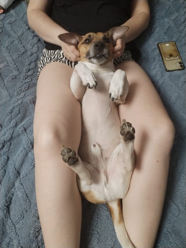 Quiet morning moments with pet, cooking captured in Russia