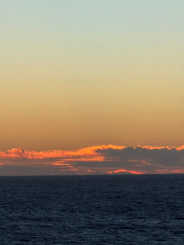 Witness documents sunset over water with moon and wildlife