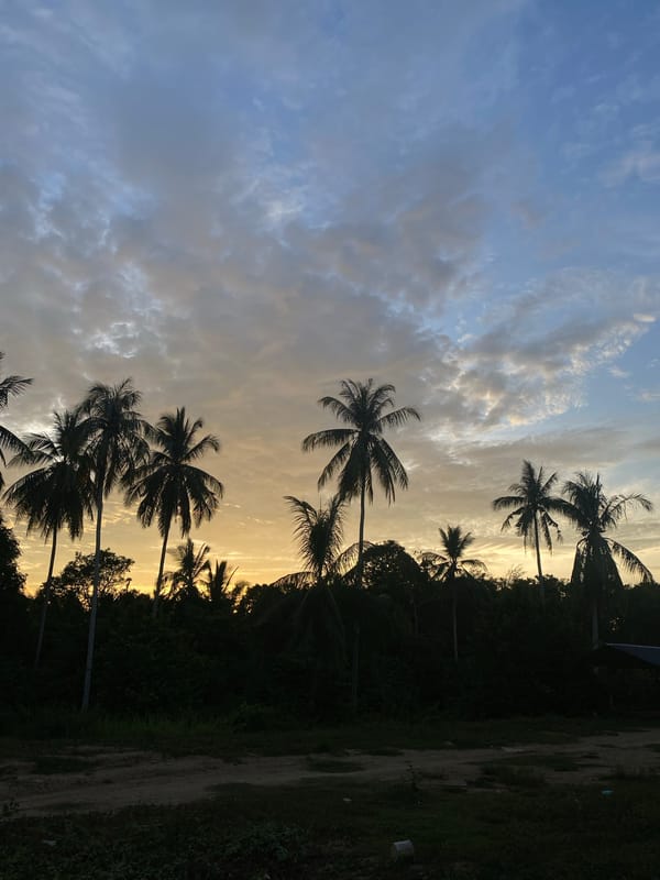 Palm trees silhouetted against sunset in Seuneubok Teungoh, Indonesia