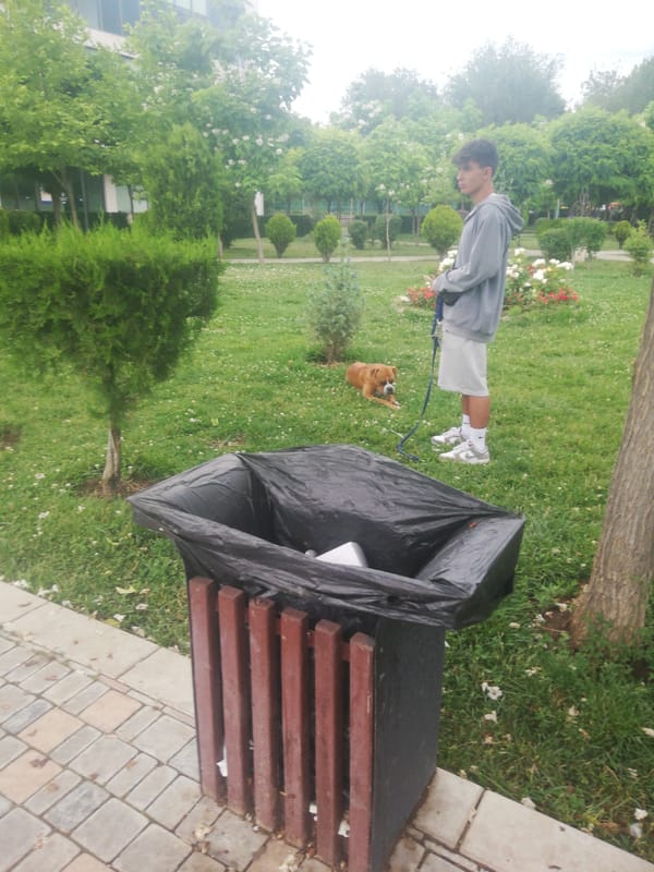Afternoon park scene with dog walkers in Yerevan