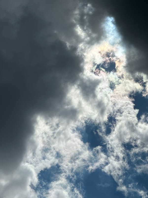 Cat naps and cloud watching documented over morning hours