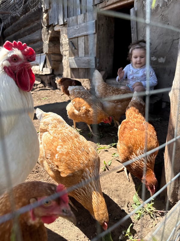 Rural life moments captured in Уральское, Russia