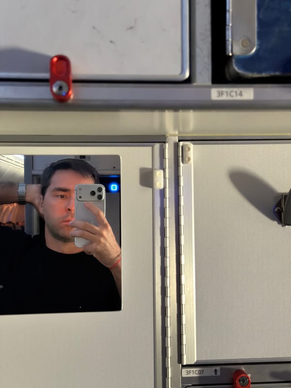Passenger documents flight experience with selfies and meal service