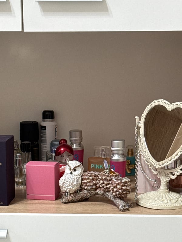 Interior home spaces documented showing decorative shelf and electrical outlet