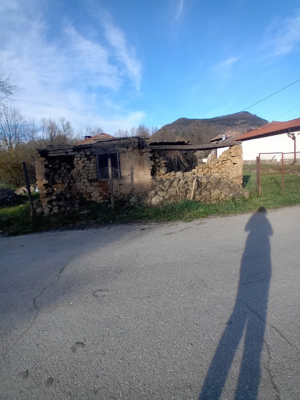 Spring day captured: mountains, daffodils, pets in rural setting