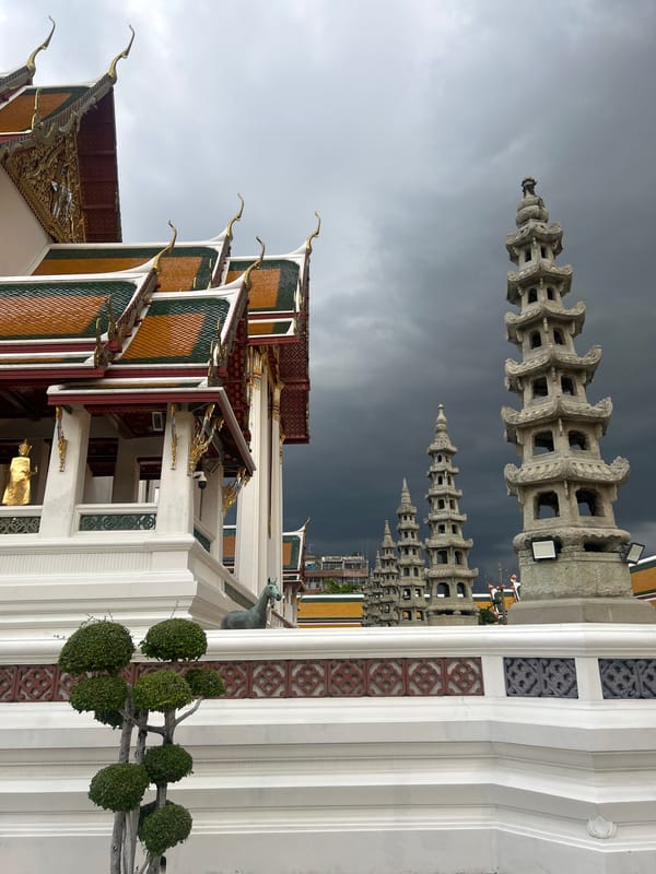 Temple grounds, urban wildlife, and Bangkok streets on a June morning