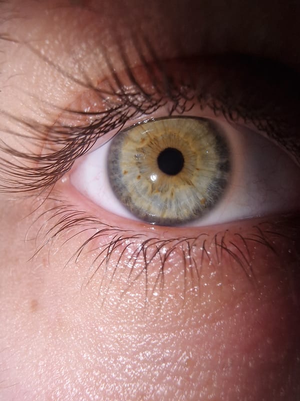 Anonymous witness documents crepe preparation and eye details over evening