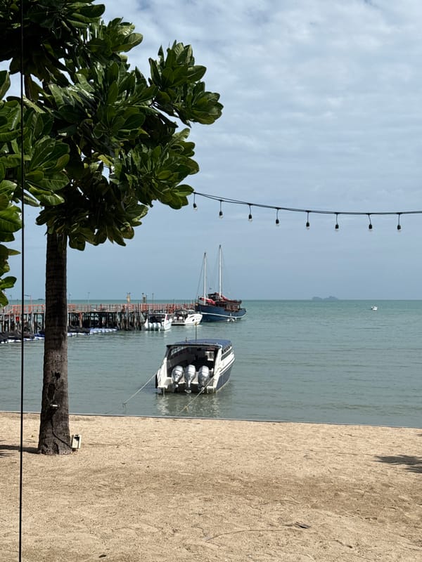 Lazy beach morning in Ko Samui with a dog and a bird