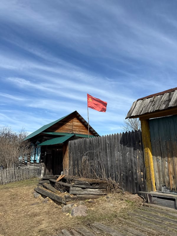 Spring wildlife spotted in rural Tyulyuk, Russia countryside