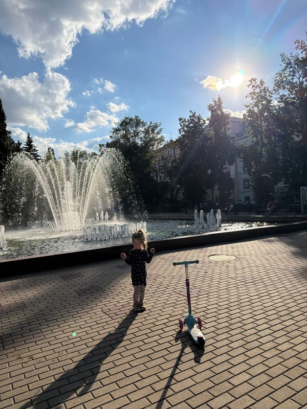 Summer afternoon in a Voronezh park, fountain and wildflowers