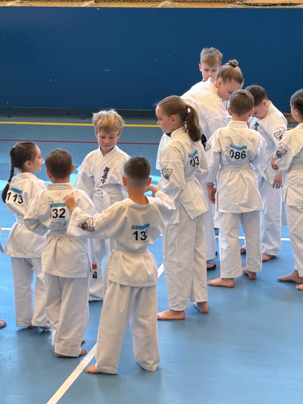 Youth karate competition held in Yekaterinburg gymnasium