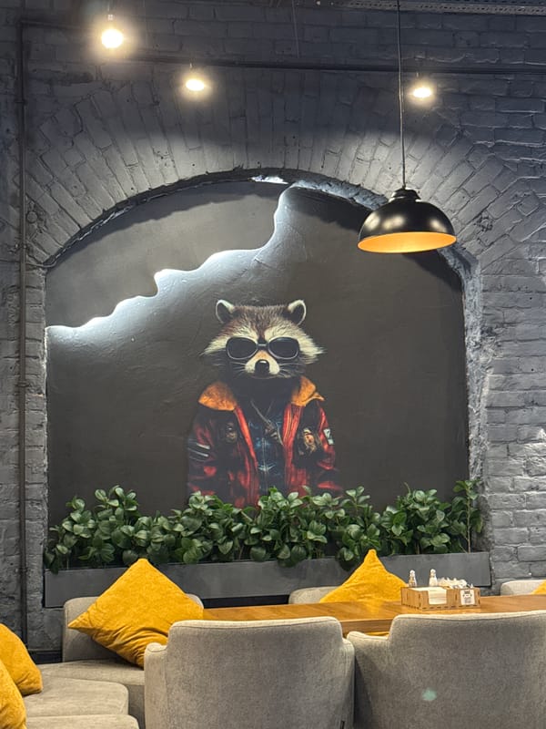 Bold raccoon mural defines a Samara cafe interior