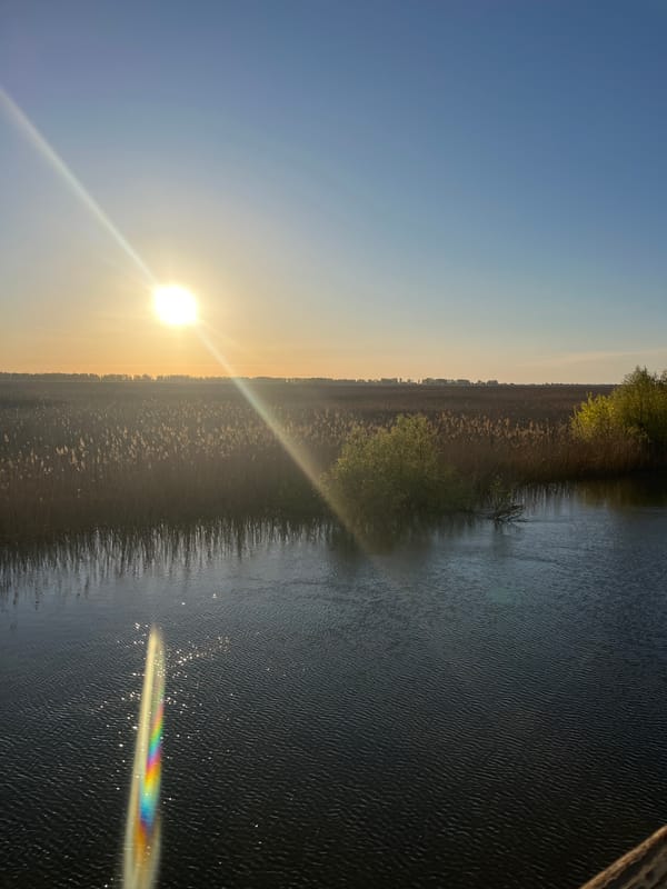 Dawn landscape with reflective water documented in Karalat, Russia
