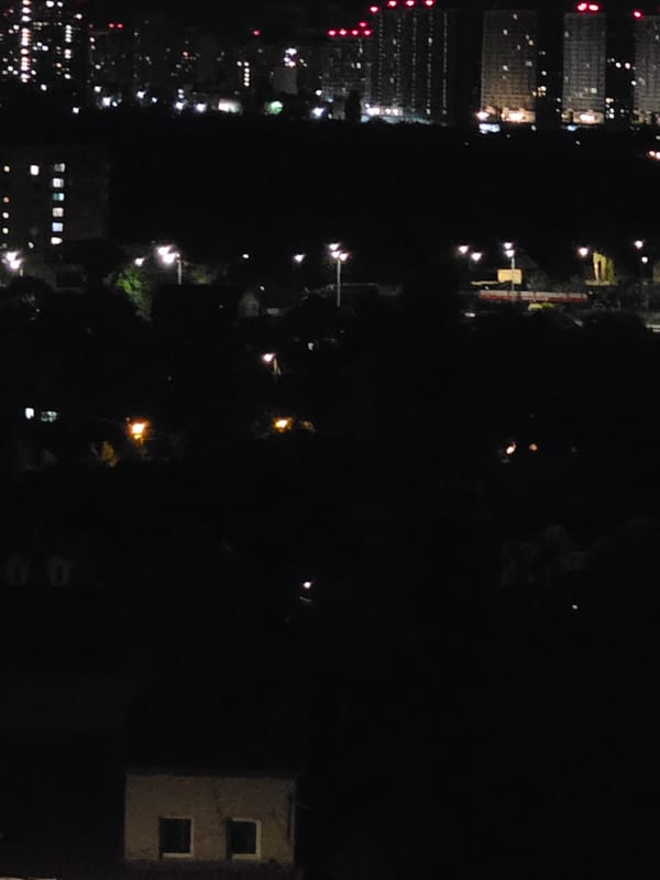 Nighttime city views from above, with a cat on the street below