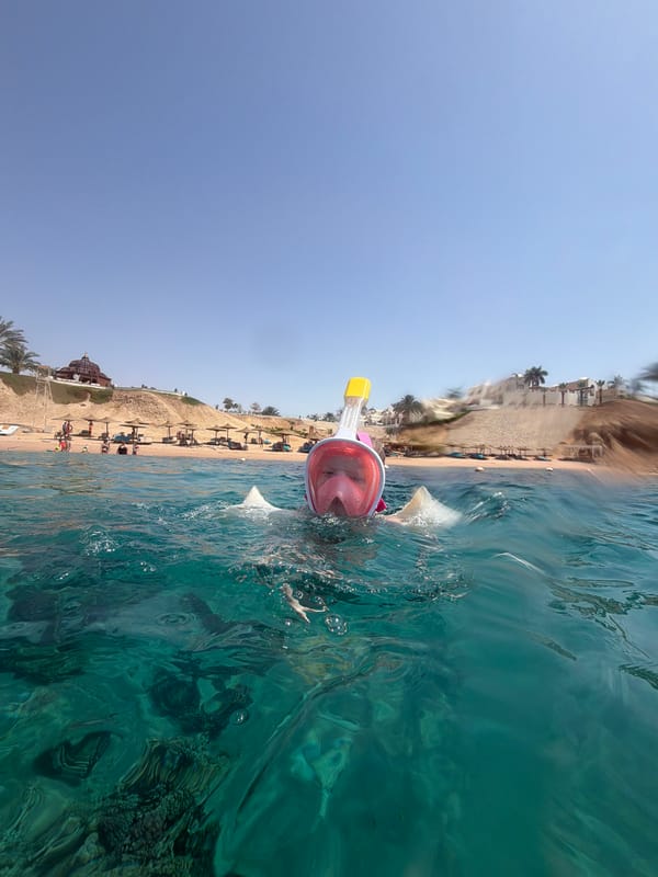 Snorkeler spotted in turquoise waters near Sharm El Sheikh