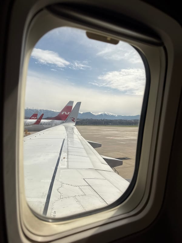 Air travel documented at Sochi airport with passenger selfies