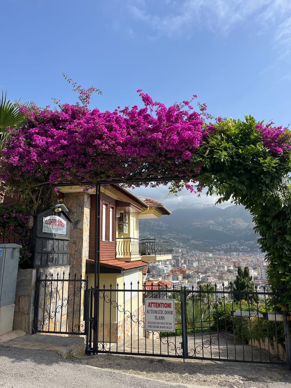 Morning residential scenes captured in Alanya, Turkey neighborhood